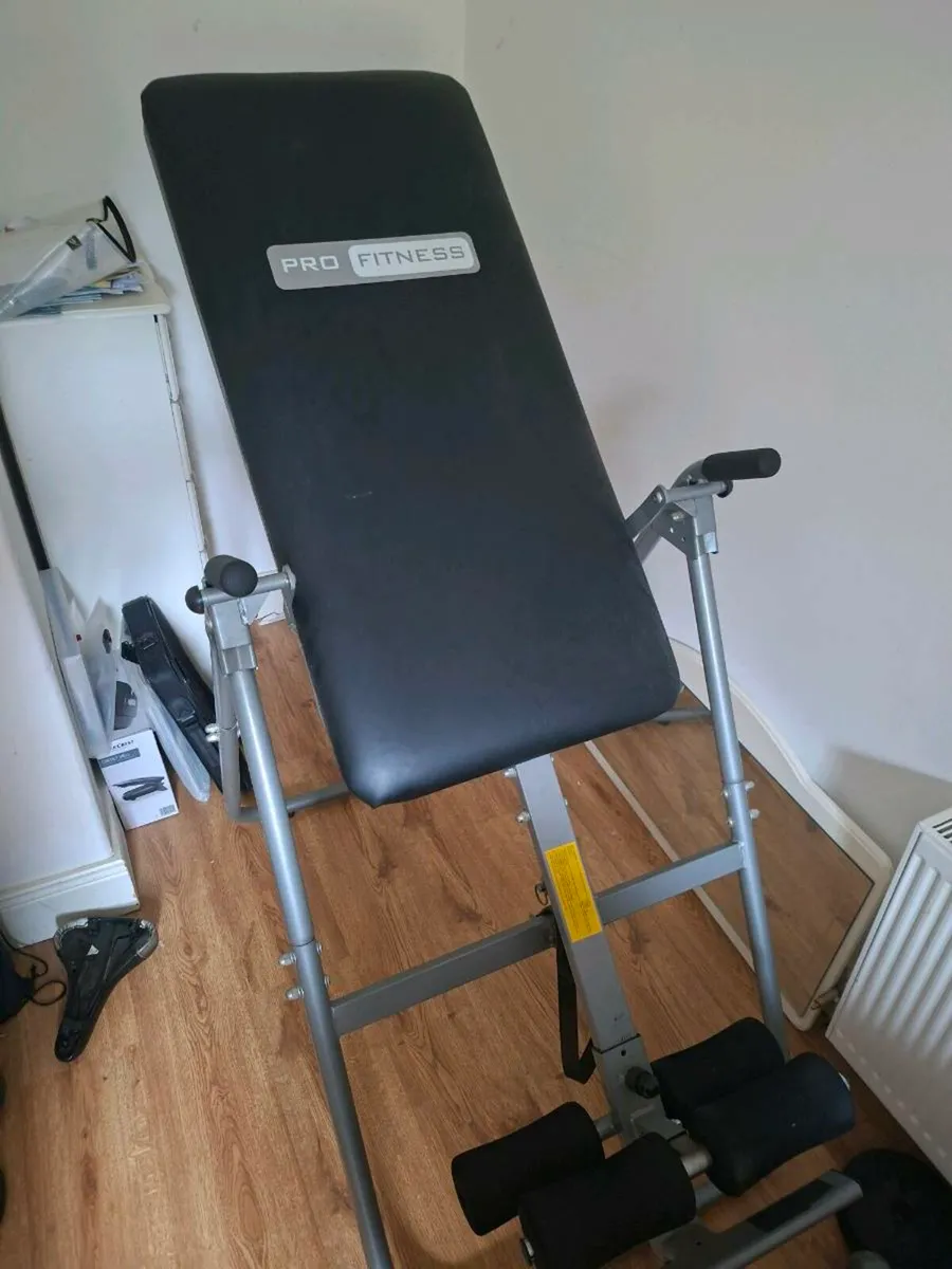 Pro Fitness Inversion table