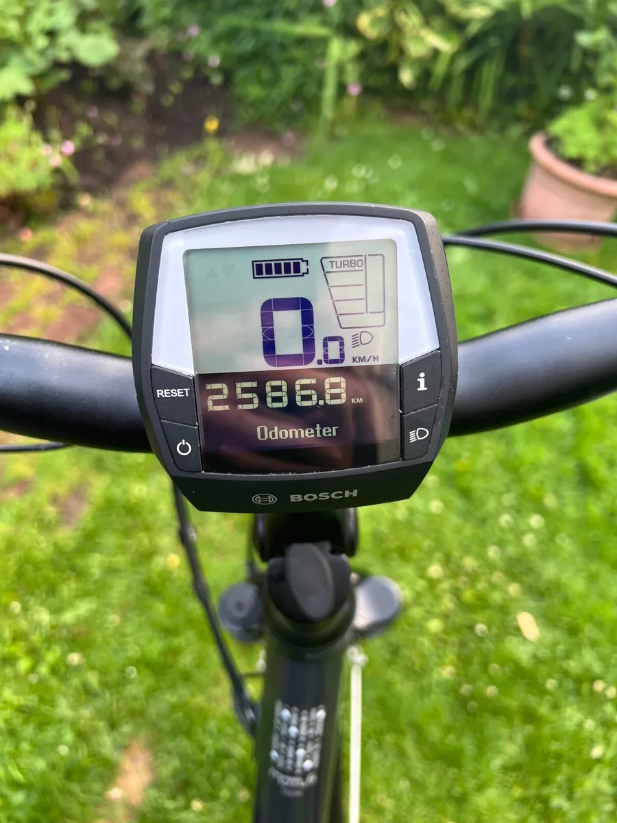 Electric Bike - Image 3