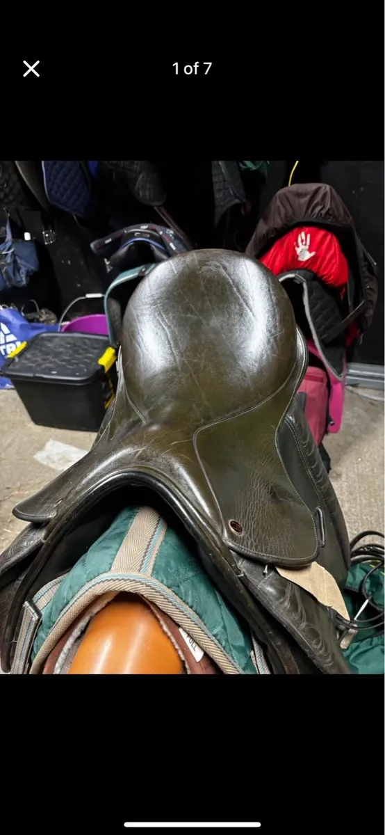 Hilton Show Saddle - Image 1