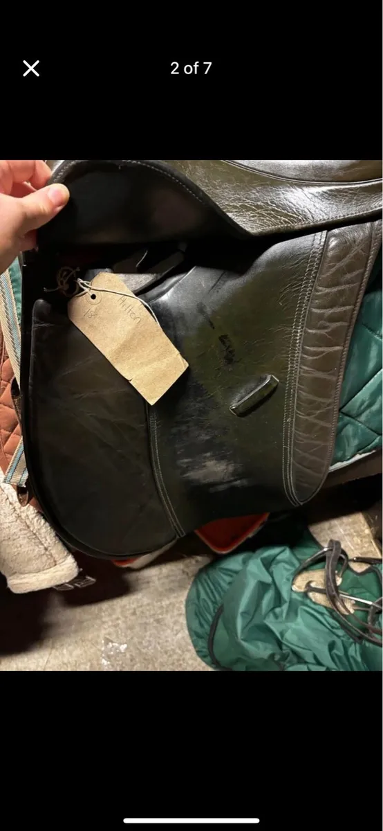 Hilton Show Saddle - Image 2