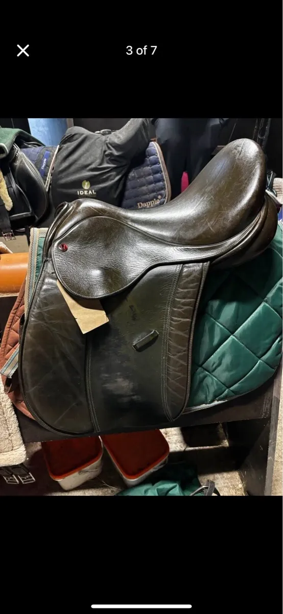 Hilton Show Saddle - Image 3