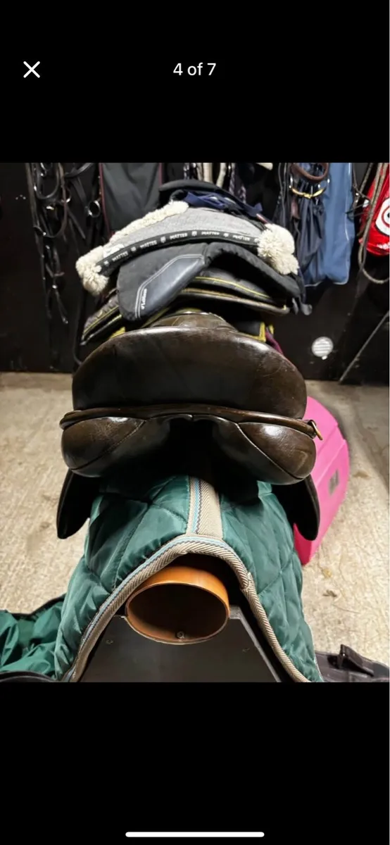 Hilton Show Saddle - Image 4
