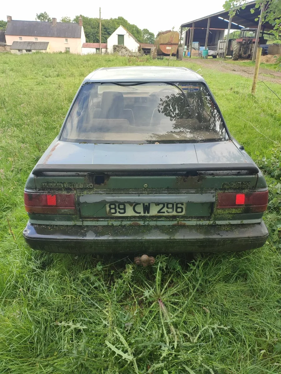 Nissan Bluebird - Image 2
