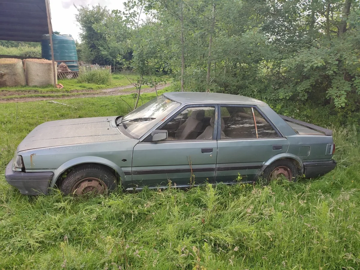 Nissan Bluebird - Image 3