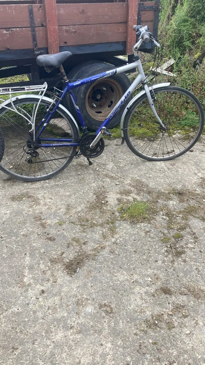 Bicycles - Image 4