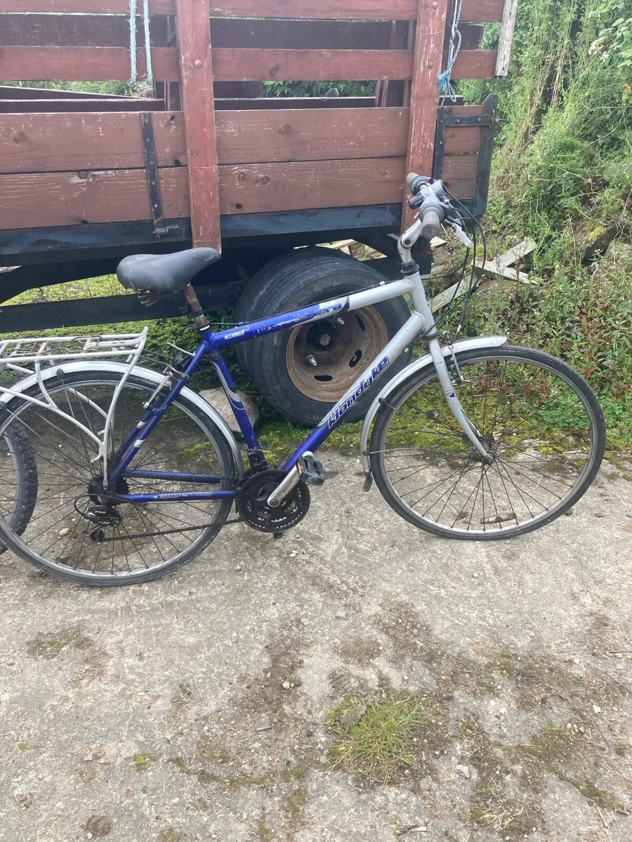 Bicycles - Image 1