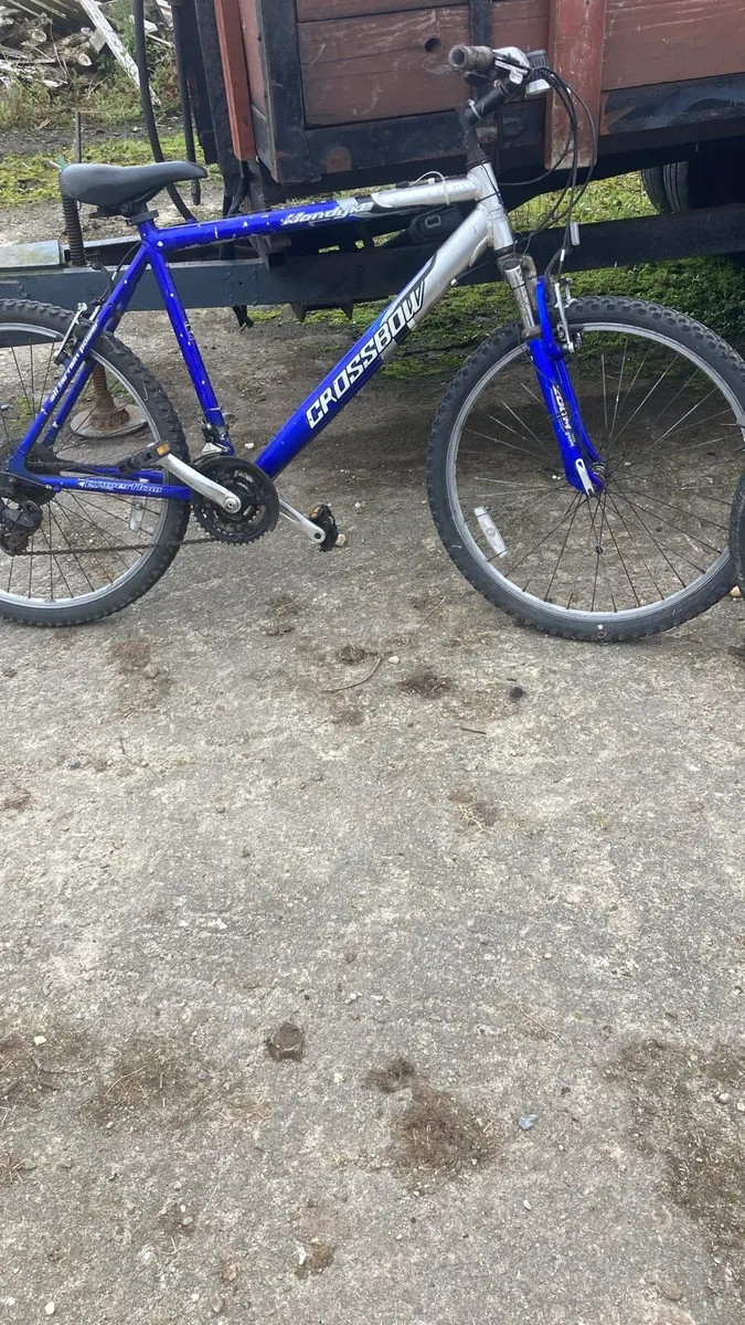 Bicycles - Image 2