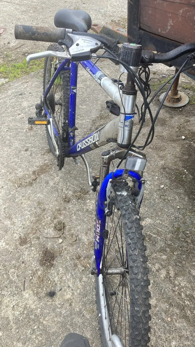 Bicycles - Image 3