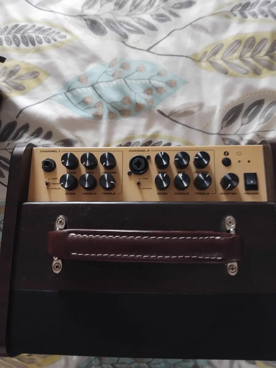 Tackamine Guitar and Nux AC80 - Image 1