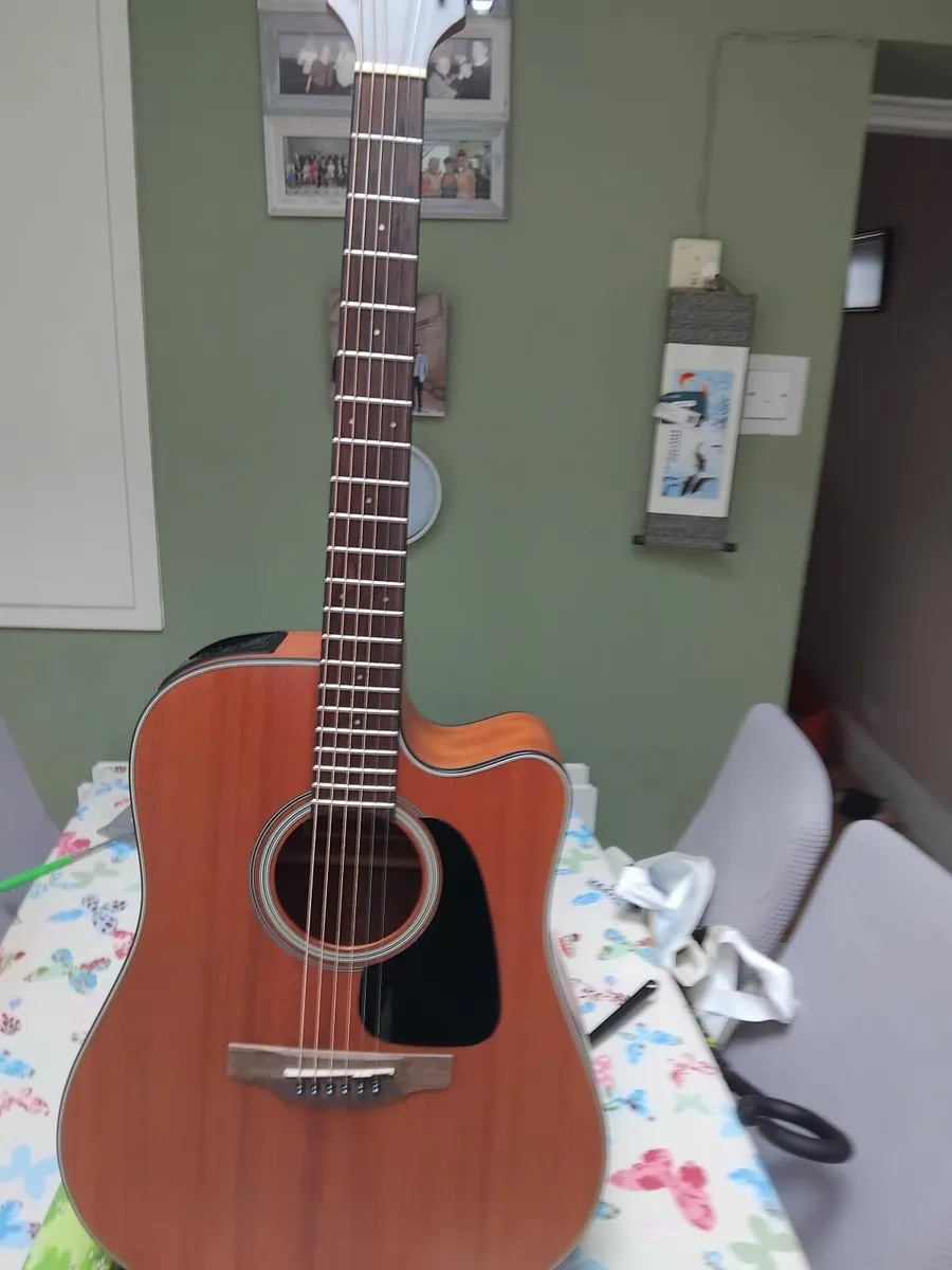 Tackamine Guitar and Nux AC80 - Image 2