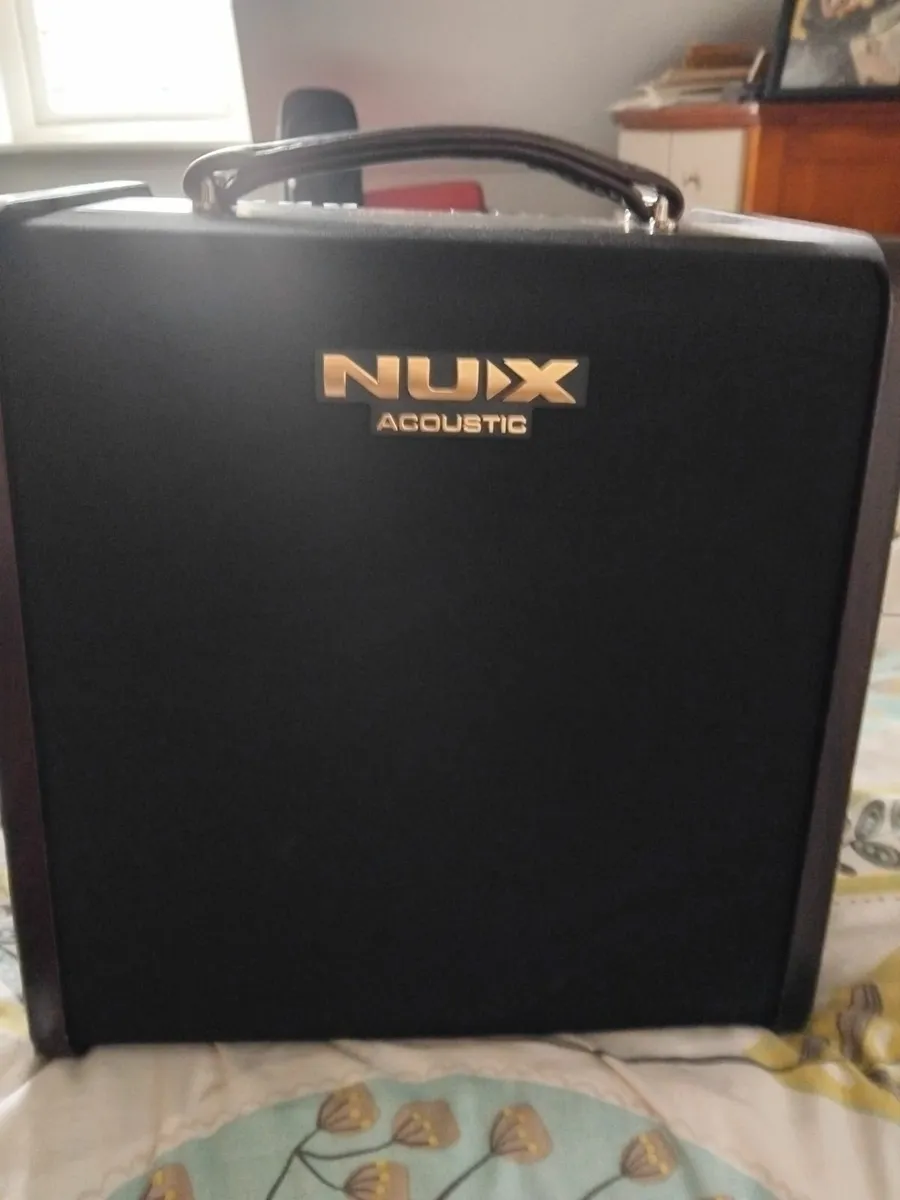 Tackamine Guitar and Nux AC80 - Image 3