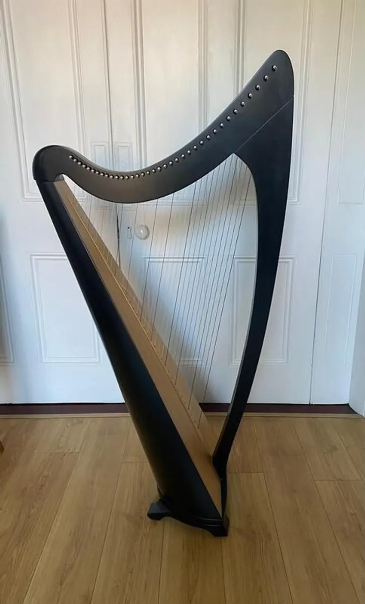 Harp 36 String| Salvi with protective cover & case - Image 1