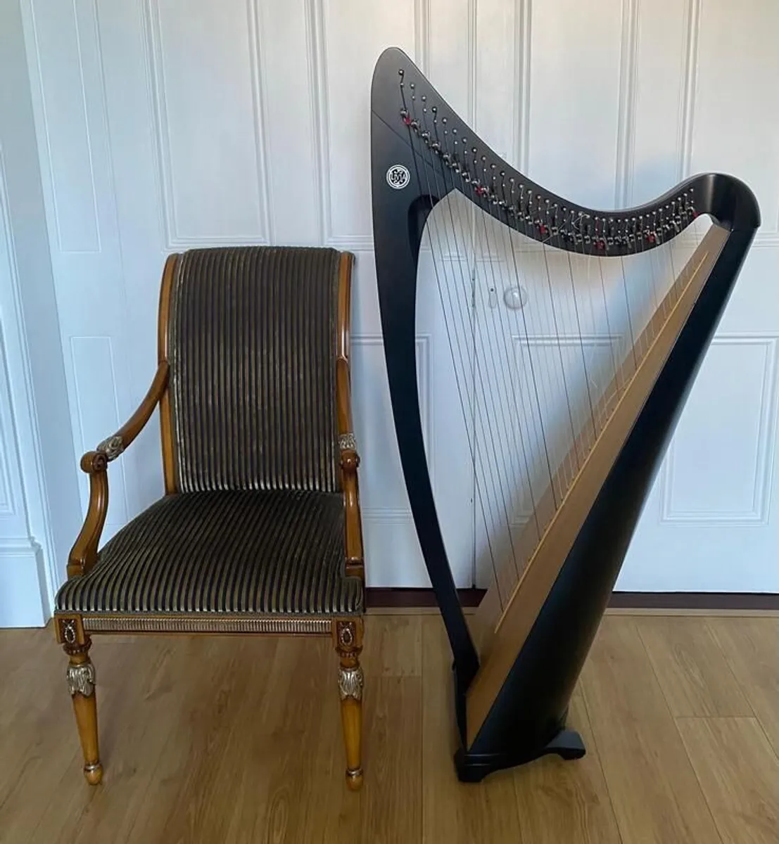 Harp 36 String| Salvi with protective cover & case - Image 2