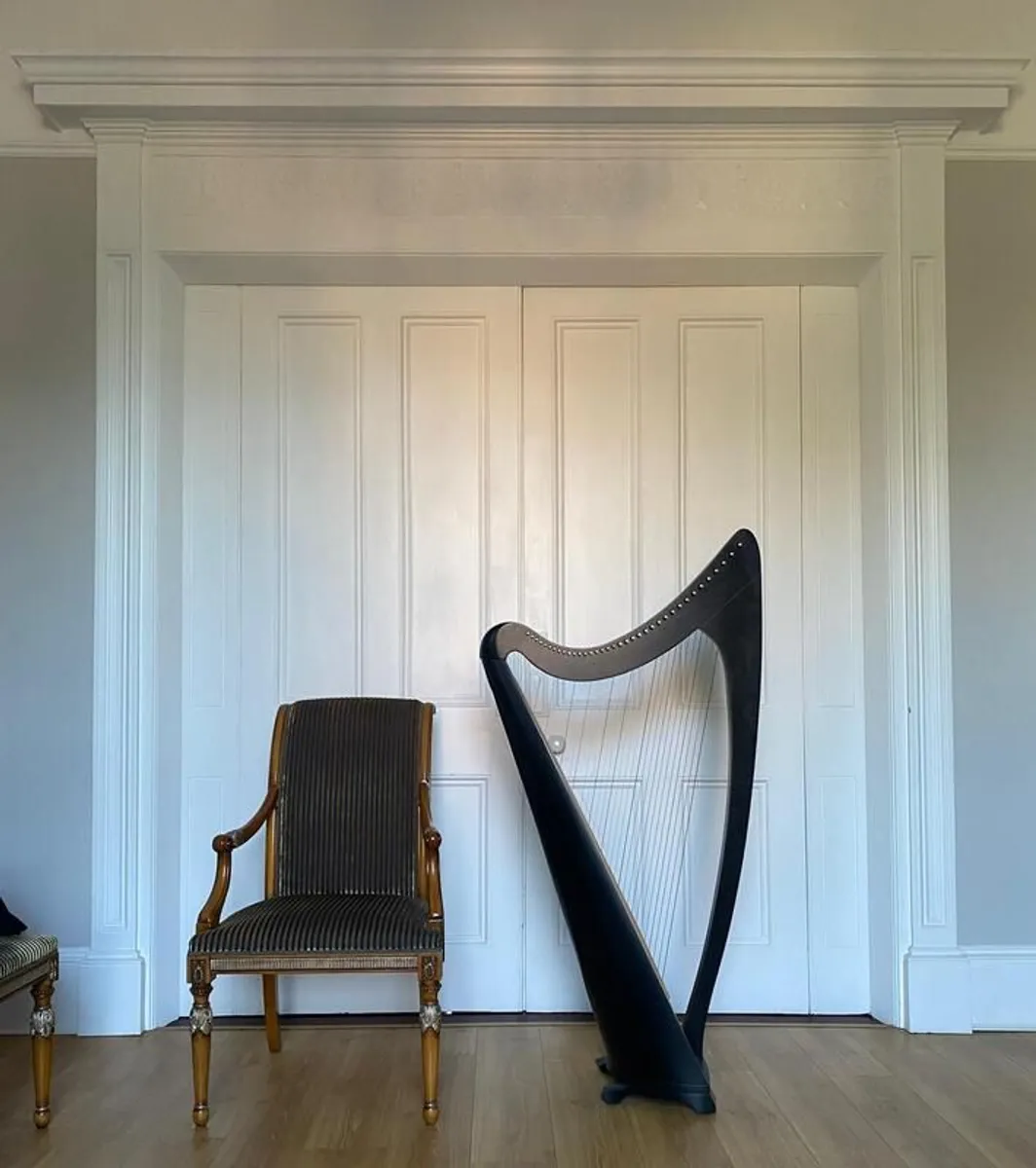 Harp 36 String| Salvi with protective cover & case - Image 3