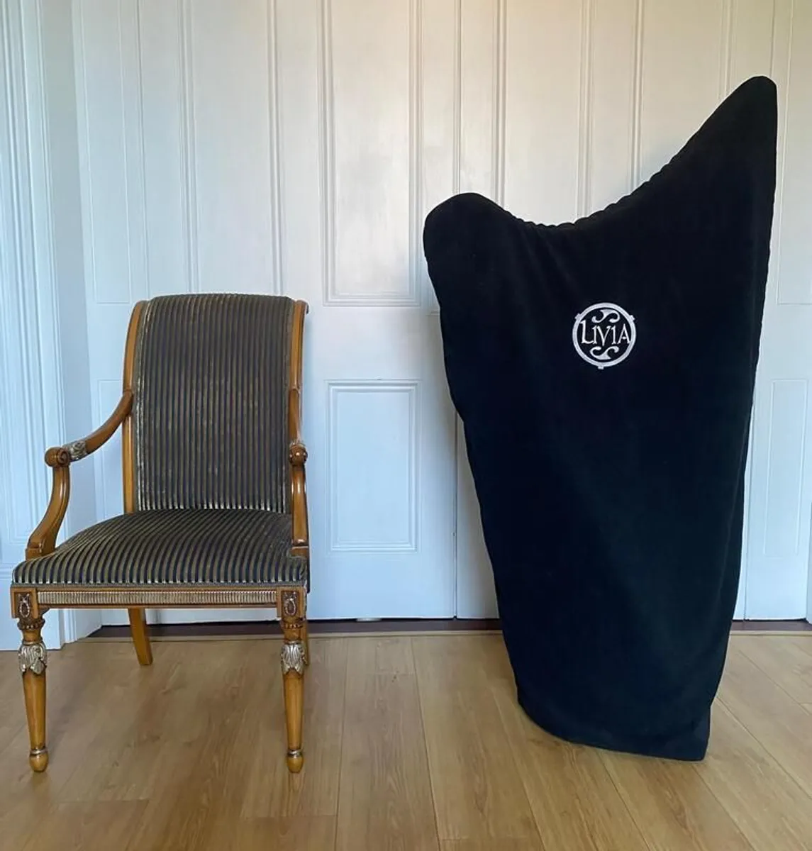 Harp 36 String| Salvi with protective cover & case - Image 4