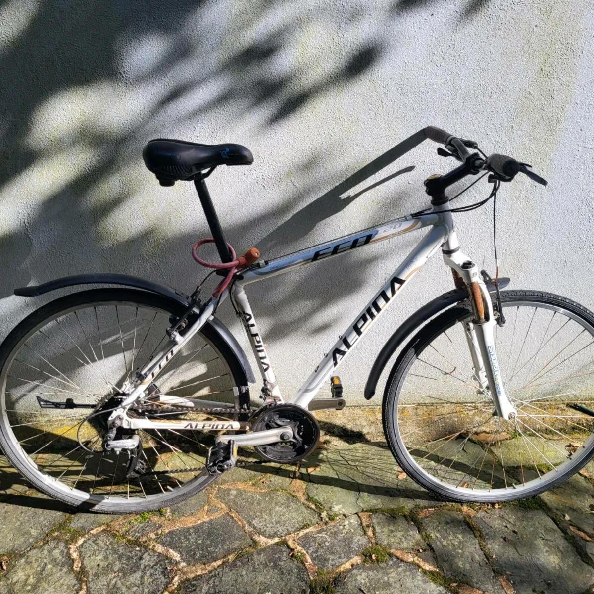 Bike - Image 1