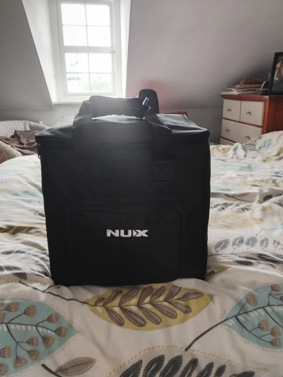 Tackamine Guitar and Nux AC80 - Image 4