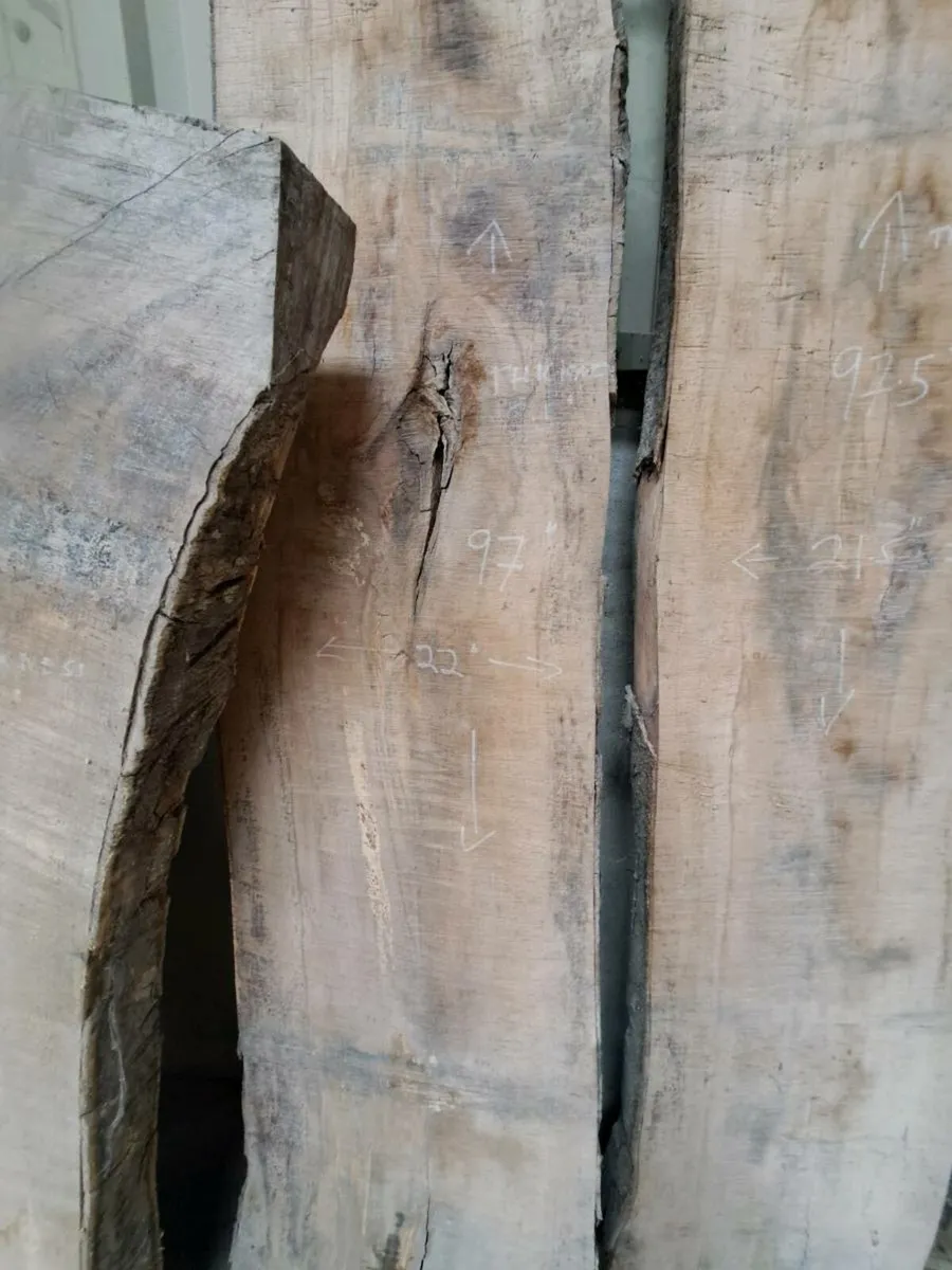 Native Irish Beech live edge slabs - Image 1