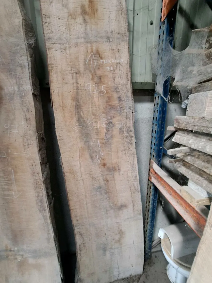 Native Irish Beech live edge slabs - Image 2