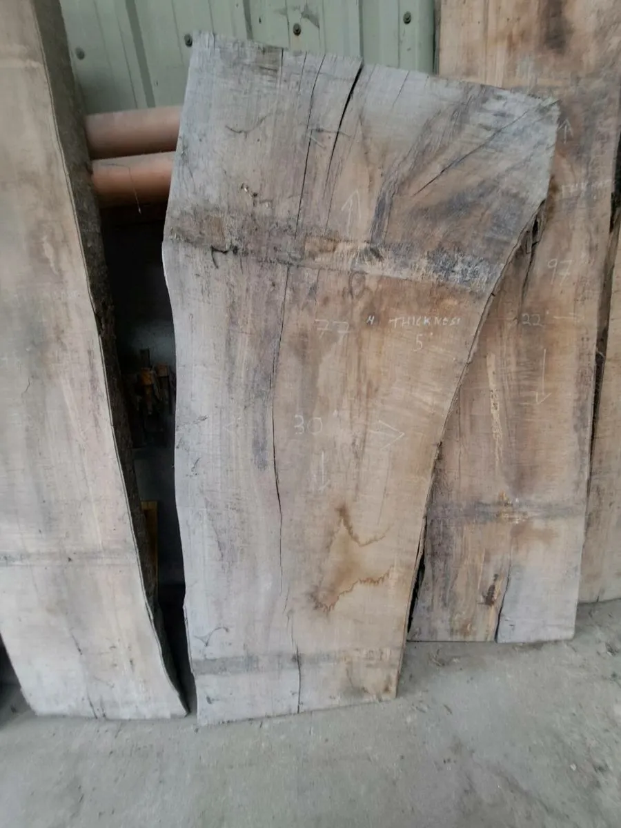 Native Irish Beech live edge slabs - Image 4