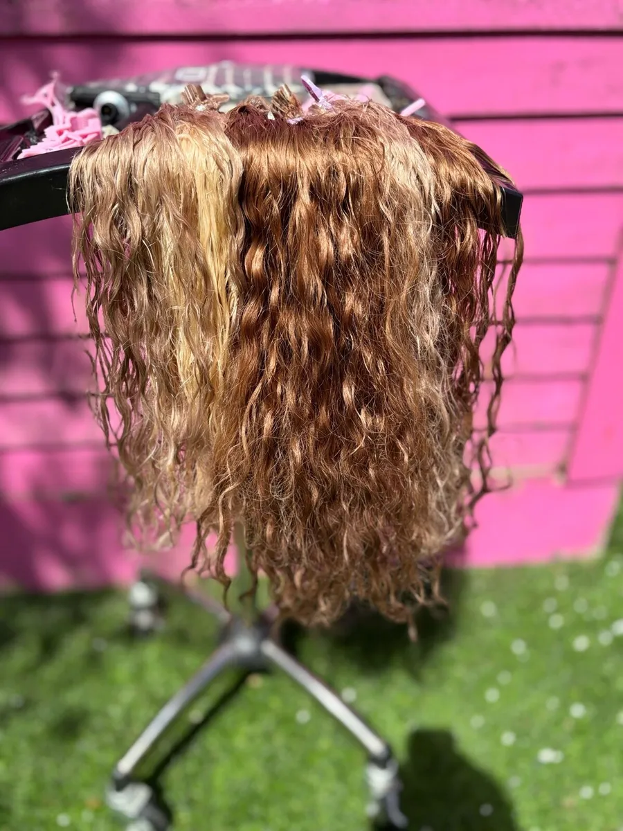 Hair Extensions - Image 1