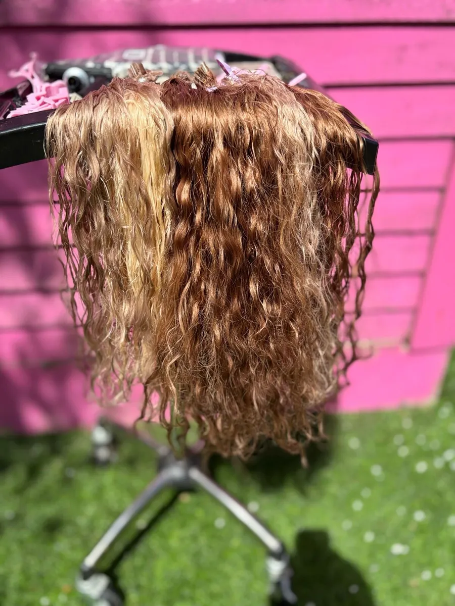 Hair Extensions - Image 2
