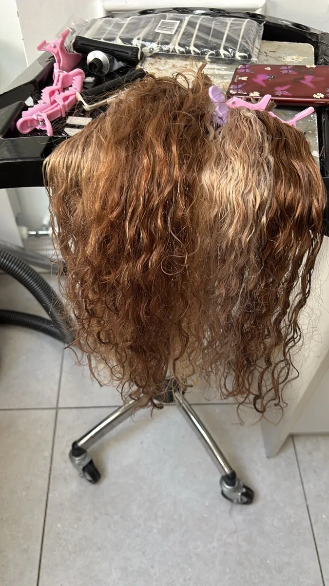 Hair Extensions - Image 3