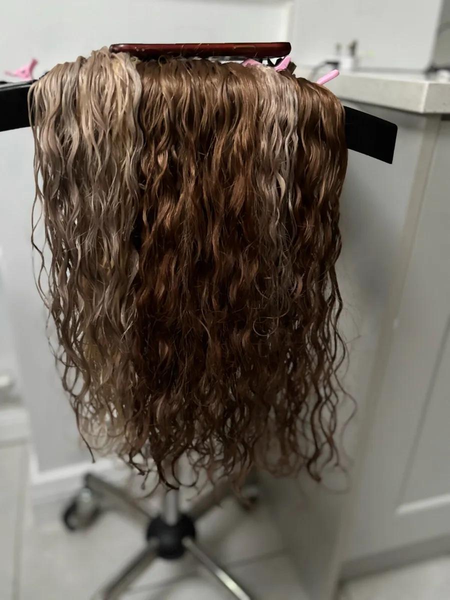 Hair Extensions - Image 4