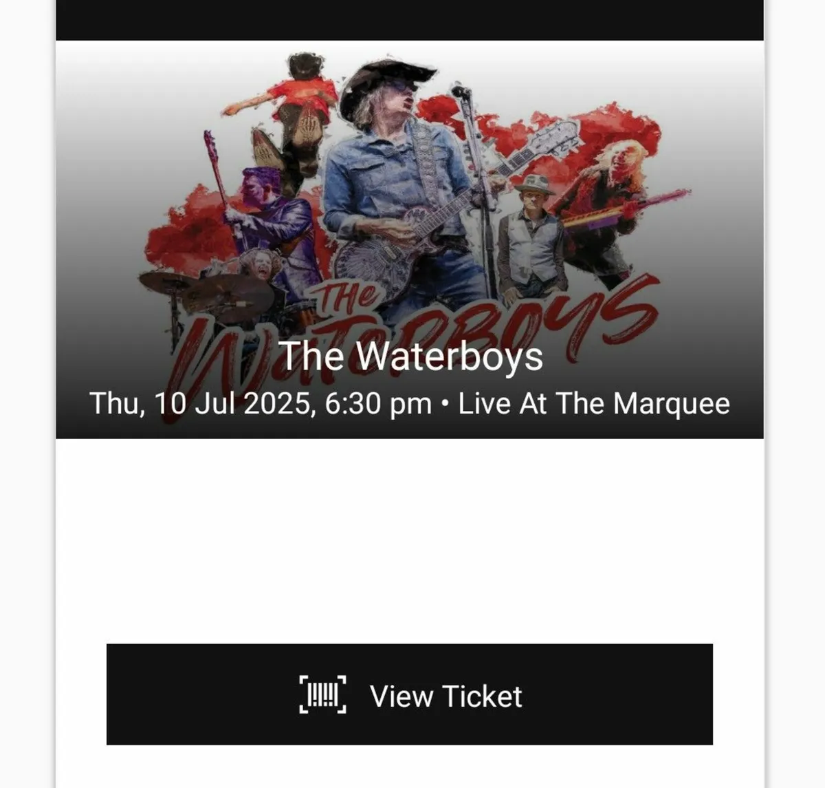 2 x Waterboys Tickets Marquee Cork 10th July €50