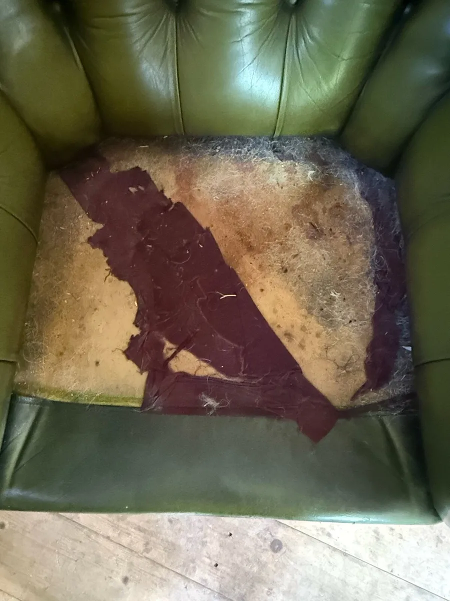 Armchair - Image 2