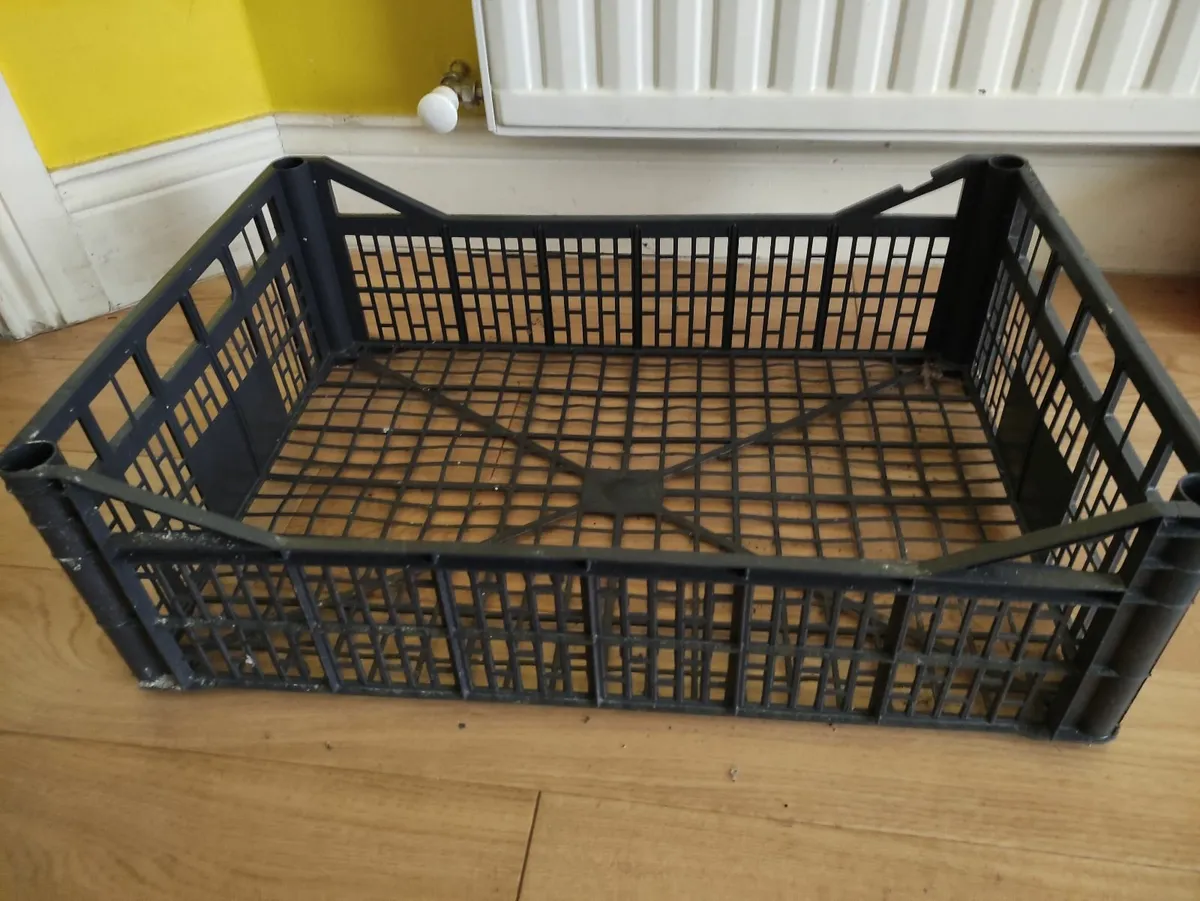 plastic crates 5 euro each - Image 1