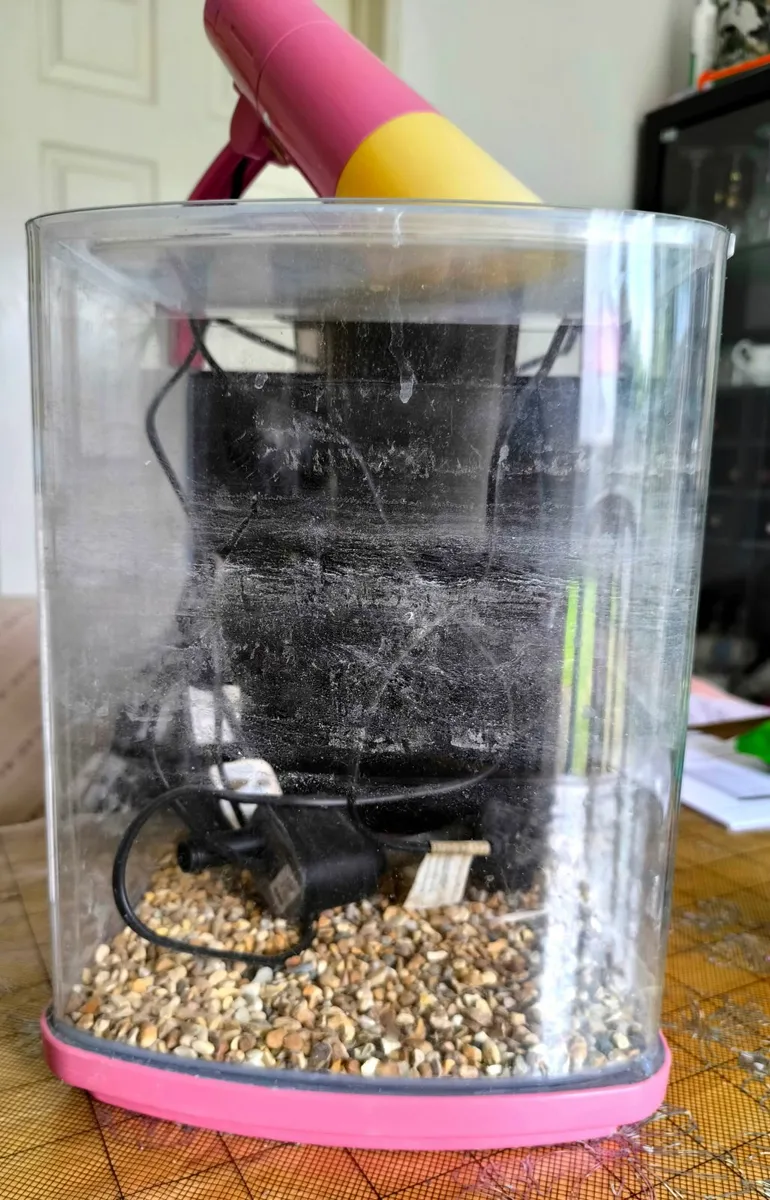 Near brand new Fish Tank - Image 2