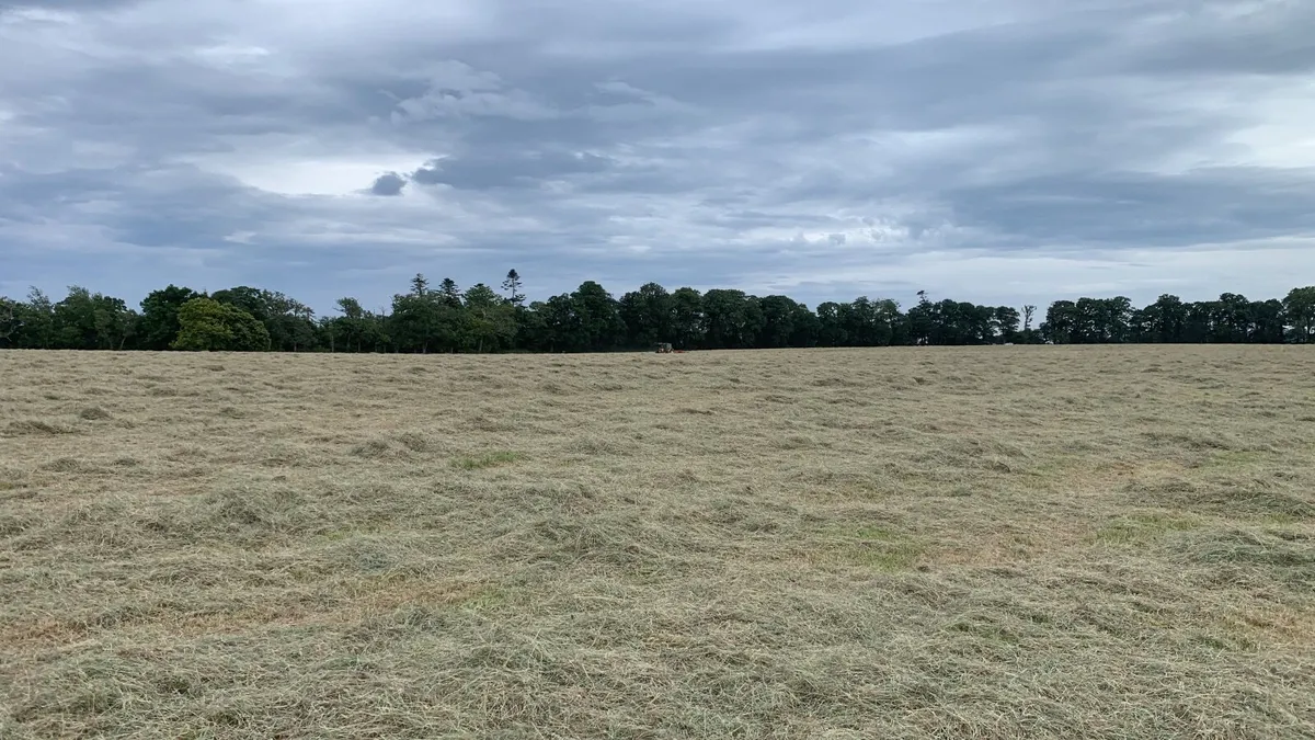 Haylage - Image 3