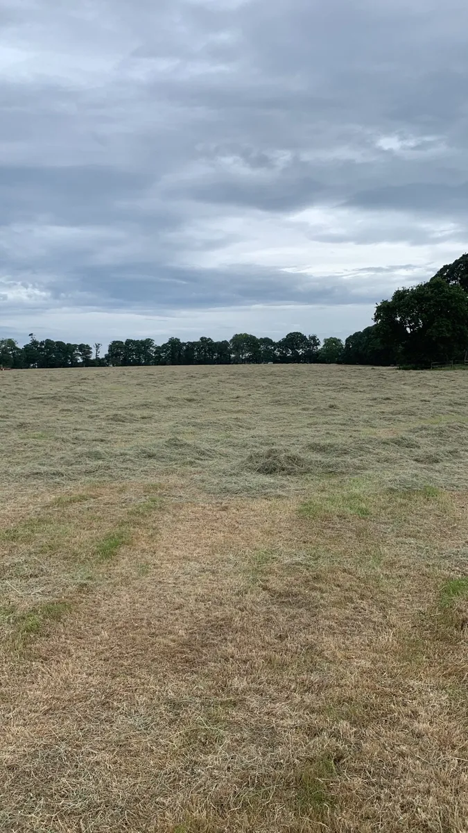 Haylage - Image 4