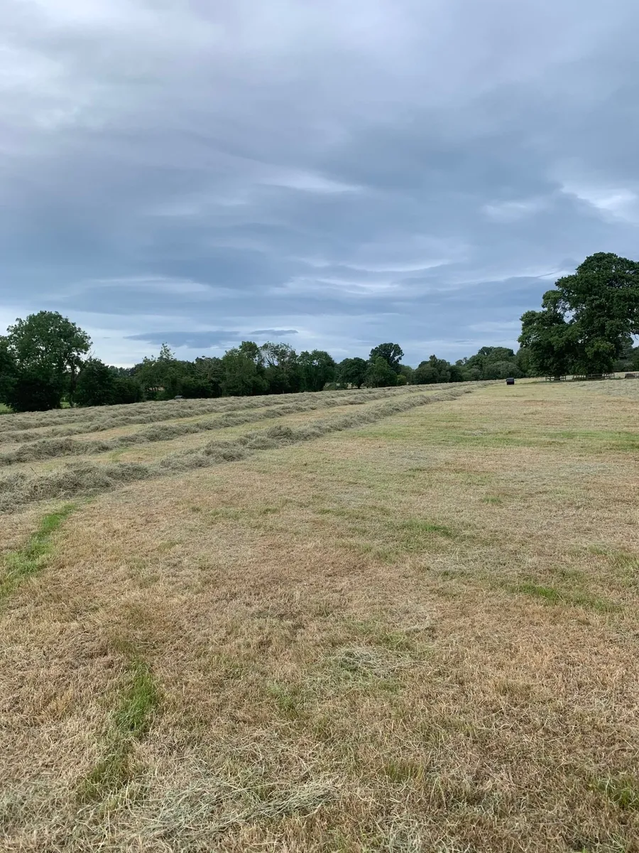 Haylage - Image 1