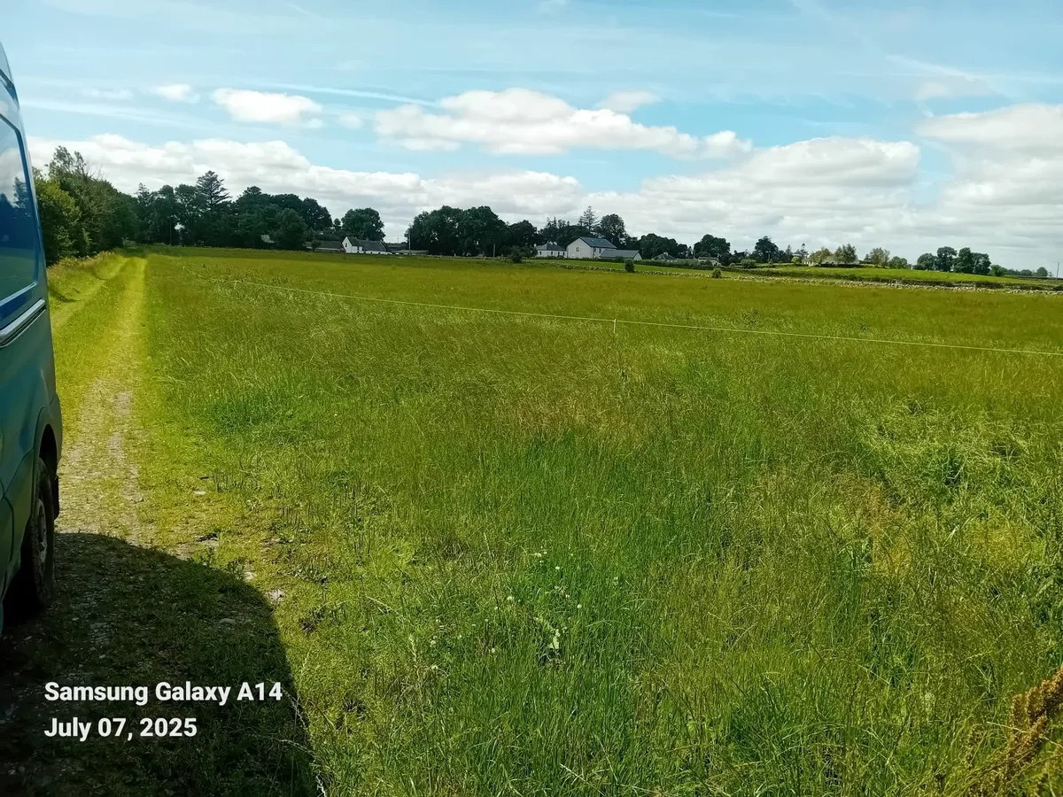 meadow - Image 1
