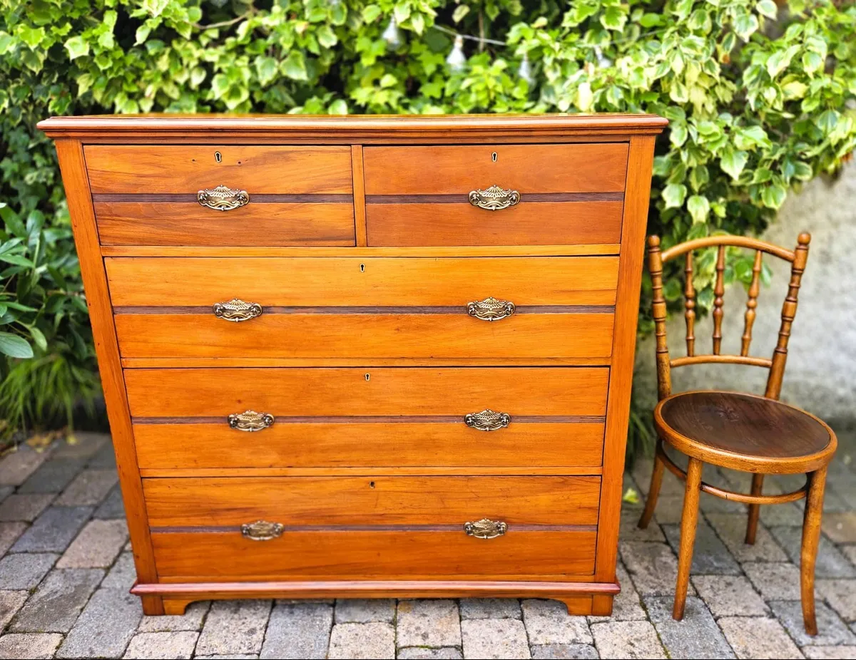 Large Edwardian Walnut Chest- Circa 1900 - Image 2