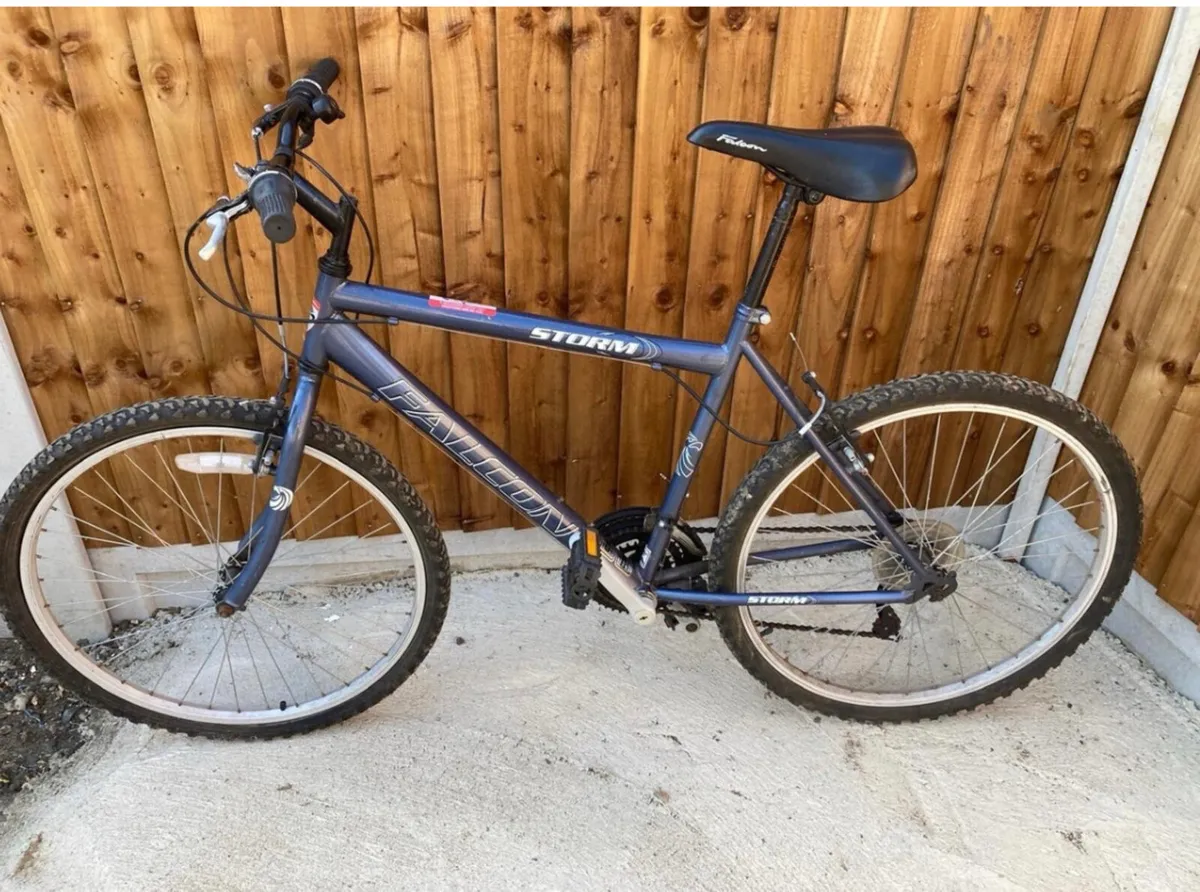 Adult bicycle