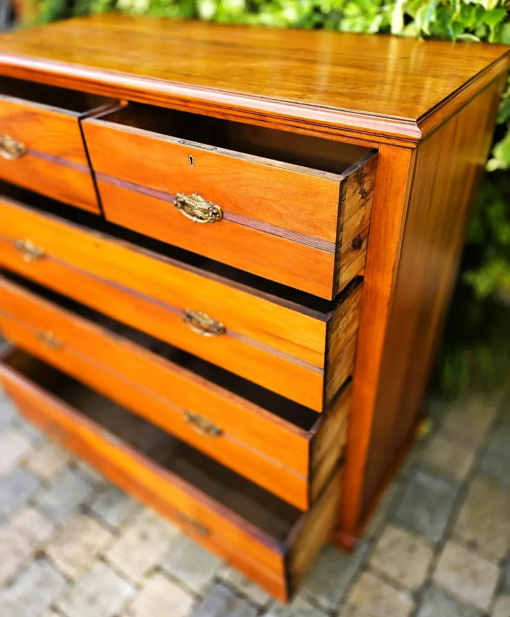 Large Edwardian Walnut Chest- Circa 1900 - Image 4