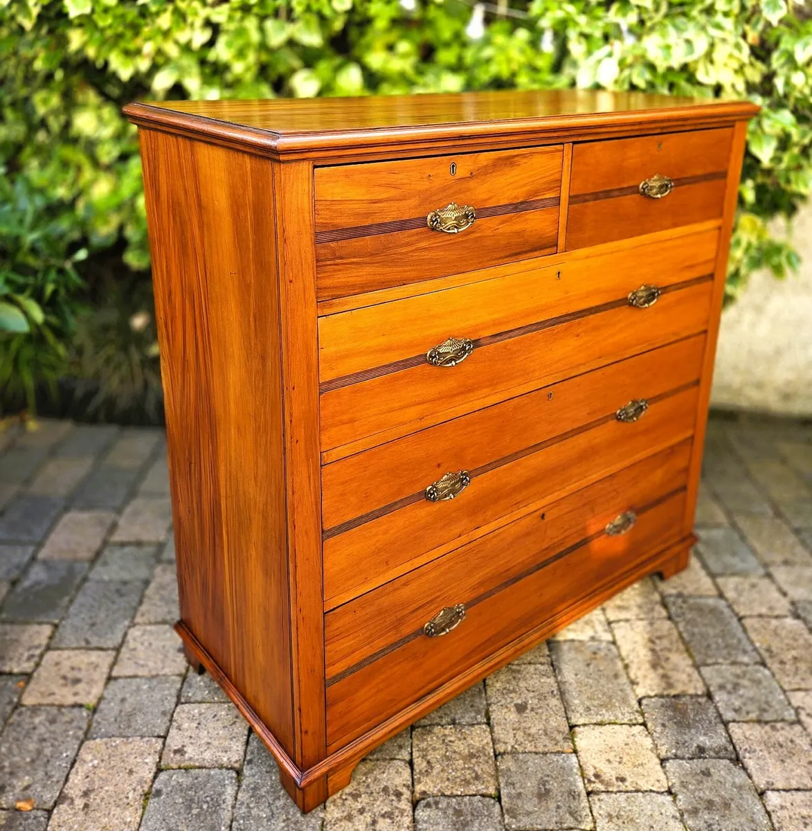 Large Edwardian Walnut Chest- Circa 1900 - Image 1