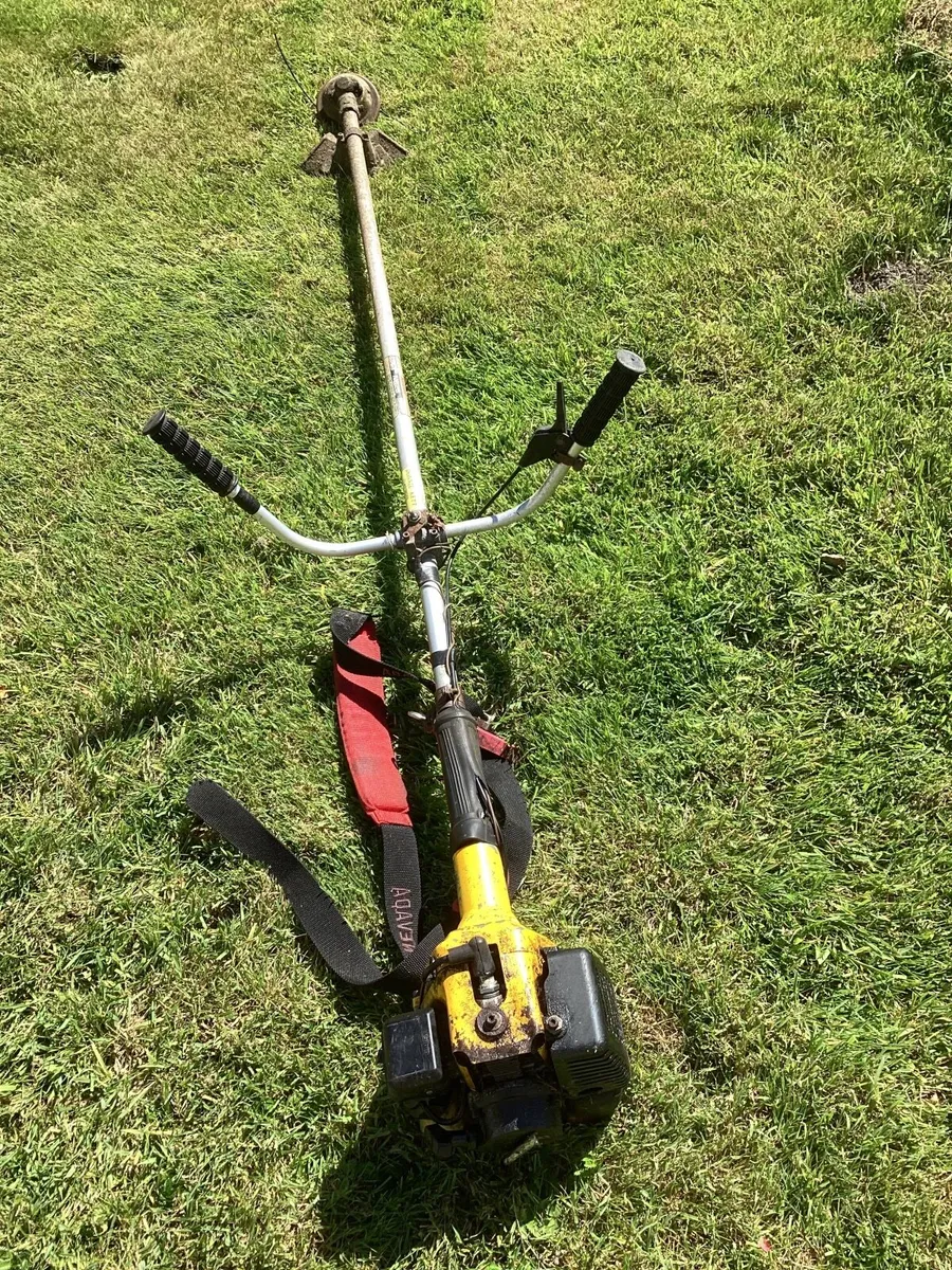 Petrol strimmer