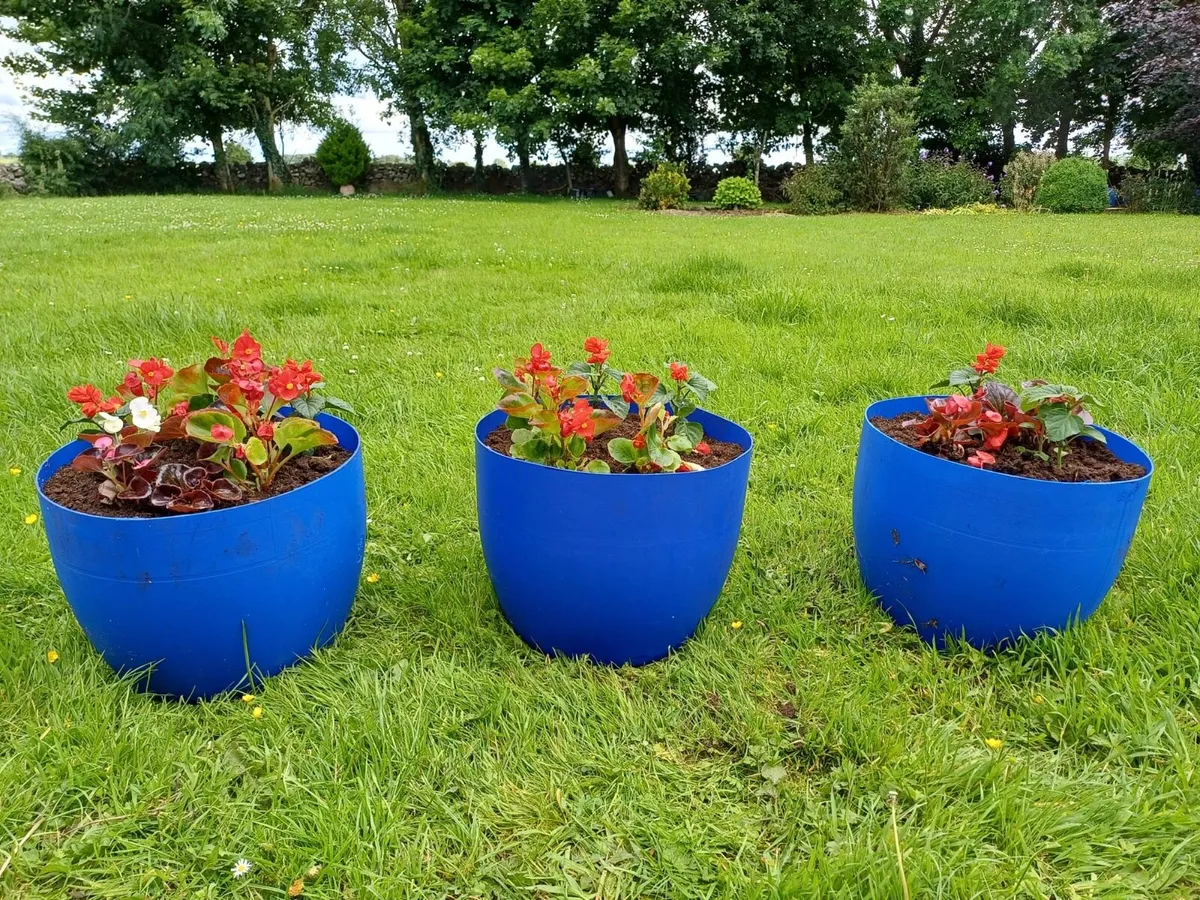 Flower Containers - Image 1