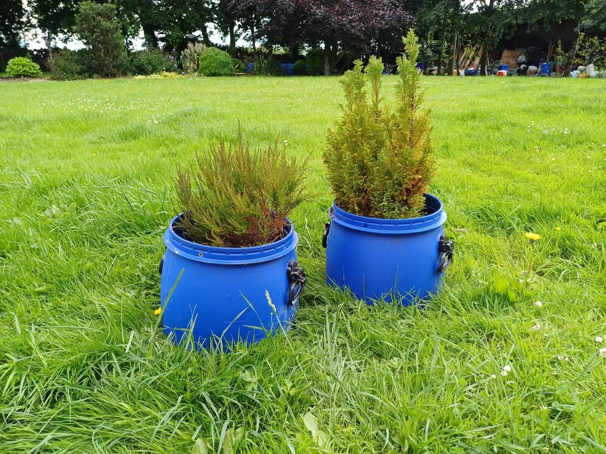 Flower Containers - Image 2