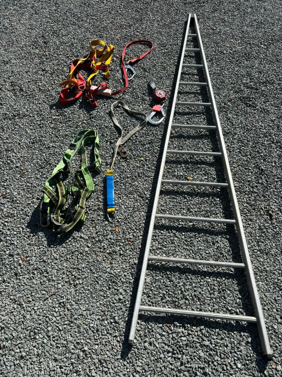 3m Pointed window cleaning ladder - Image 1