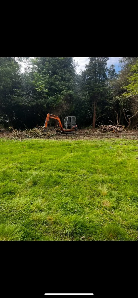 Digger with driver - Image 2