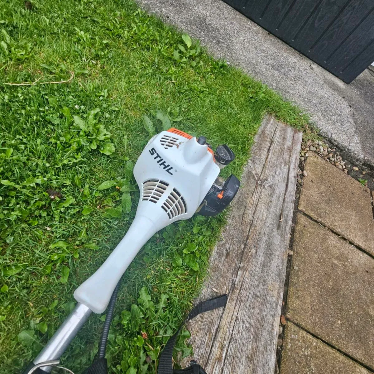 Strimmer - Image 3