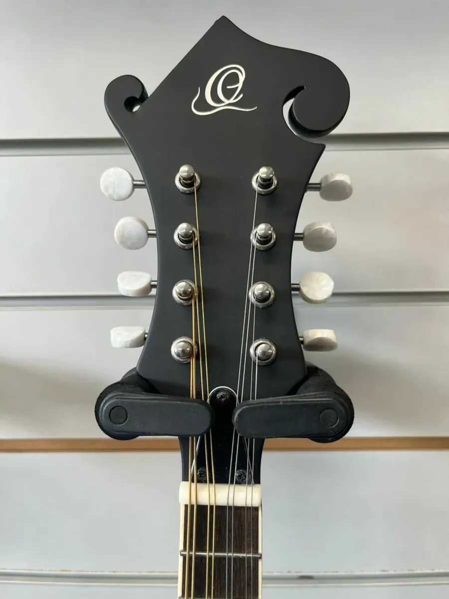 Ortega Mandolin - Image 2