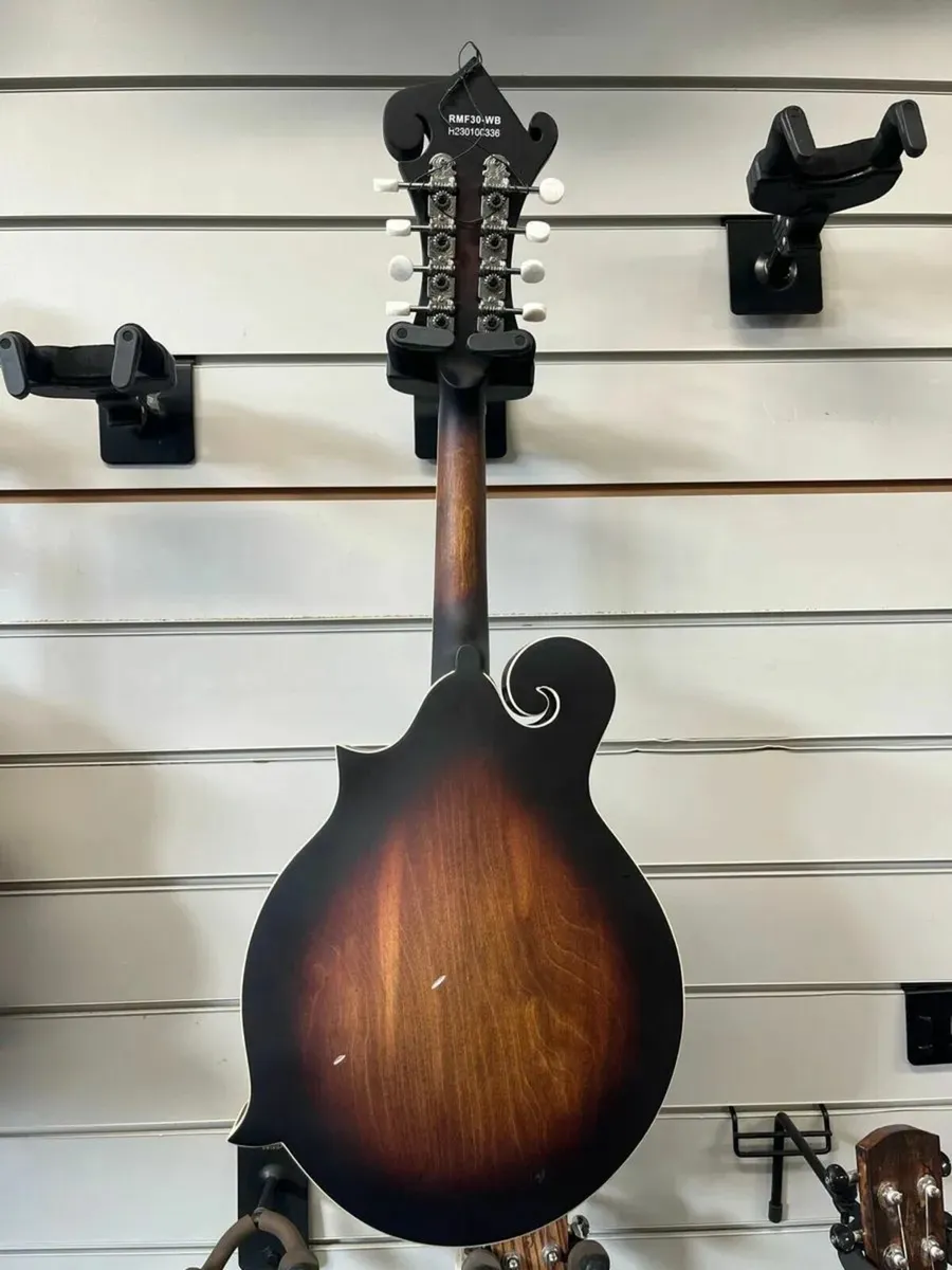 Ortega Mandolin - Image 3