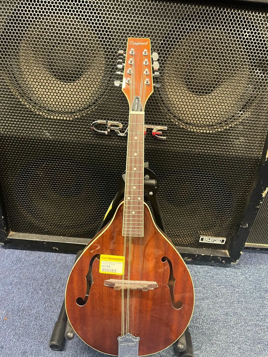 Tanglewood Mandolin - Image 1