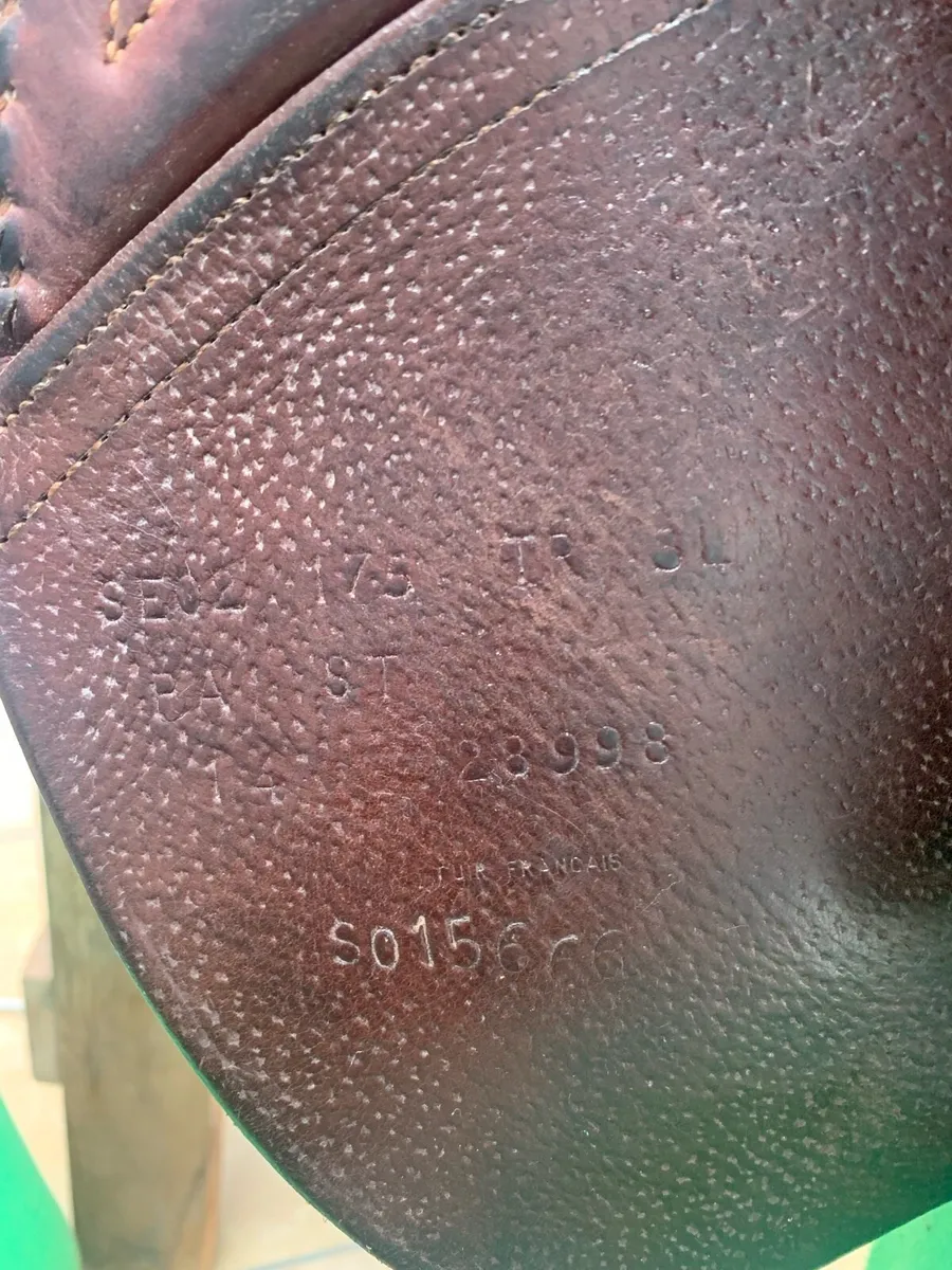CWD SE02 Jumping Saddle - Image 3